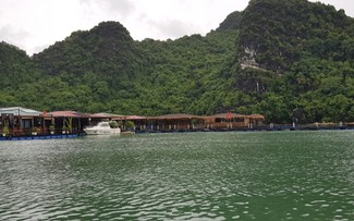 Aldea pesquera de Vung Vieng, un destino imprescindible en el viaje por explorar la Bahía de Ha Long