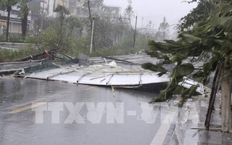 Tifón Yagi en Vietnam: Tras dejar estragos en varias localidades, se debilita a depresión tropical