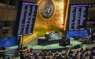 La ONU busca una reforma de la organización y conformar un nuevo futuro