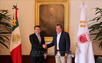 Vietnam busca oportunidades de cooperación con localidades mexicanas