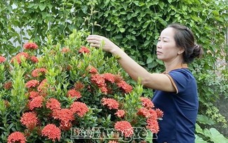 Hung Yen promueve desarrollo agrícola vinculado a construcción de nueva ruralidad