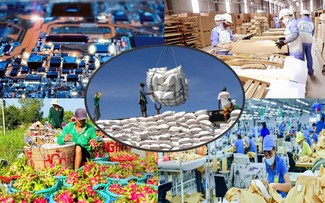 Exportaciones de Vietnam en 2024 superan los objetivos establecidos