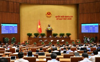 Parlamento vietnamita confirma mayor tasa de la solución de querellas y demandas de la ciudadanía