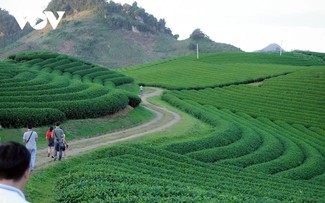 Vietnam reconocido como “Destino patrimonial líder del mundo” 2025