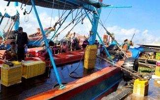 Dong Thap cumple con labores contra la pesca INDNR y se prepara para atender a la delegación de la Comisión Europea