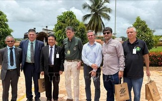 Vietnam y Brasil promueven cooperación en agricultura, energía y biotecnología