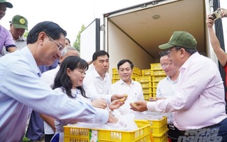 Le Delta du Mékong renforce ses marques de fruits pour l'exportation