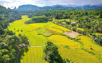 Lôc Yên, le “pays des fées” au centre du Vietnam