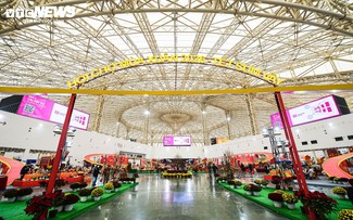 Têt: une opportunité de percée des produits vietnamiens sur le marché intérieur