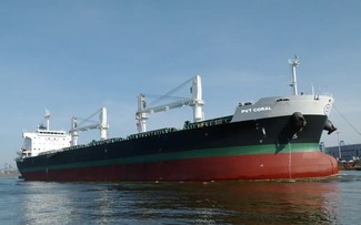 Khẩn trương bảo hộ công dân Việt Nam tử nạn khi làm việc tại Ai Cập