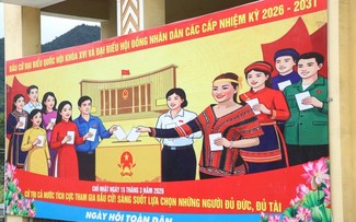 Chất lượng đại diện và năng lực thực thi quốc gia