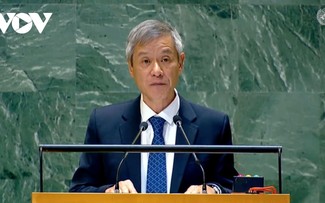 Countries are obliged to implement International Court of Justice’s rulings: Vietnamese Ambassador 