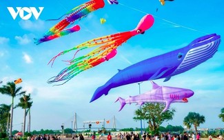 Giant kites brighten the sky of Can Tho
