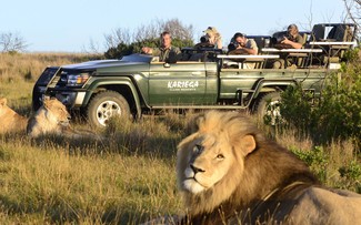 Exploring South Africa