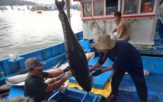 Truong Sa fishermen reap early-year gains 