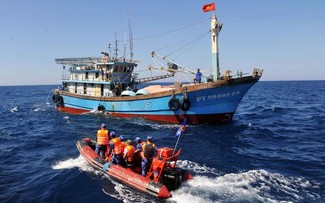 EC begins 5th inspection of IUU fishing in Vietnam