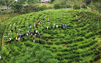 Thái Nguyên - Vùng đất “Đệ nhất danh Trà”, nơi hội tụ tài nguyên du lịch tự nhiên và văn hoá 