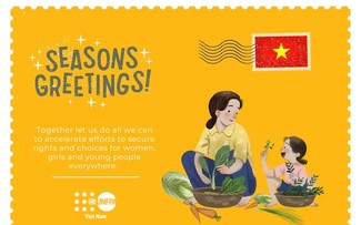  UNFPA tiếp tục đồng hành cùng Việt Nam trong thực hiện mục tiêu phát triển bền vững”  ​