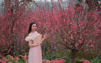 Thạc sĩ âm nhạc Phạm Hà My: Khi “Về nhà” là một khởi đầu mới   