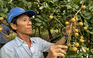 ជំរុញការ​​ចង​សម្ព័ន្ធ​ដើម្បី​កសាង​តំបន់​វត្ថុធាតុដើម​​សម្រាប់​ការនាំចេញ​កសិផល​ប្រកបដោយ​និរន្តរភាព