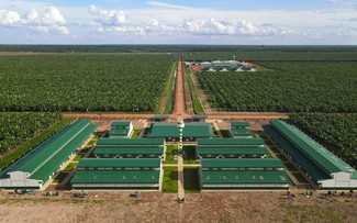 សហគ្រាសវៀតណាមរួមចំណែកលើកកម្ពស់ជីវភាពរស់នៅ​របស់កម្មករកម្ពុជា