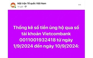 Số tiền ủng hộ đồng bào bị ảnh hưởng do cơn bão Yagi là 31,5 triệu USD