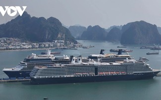 Quảng Ninh đón hơn 19,8 triệu lượt khách du lịch trong 11 tháng