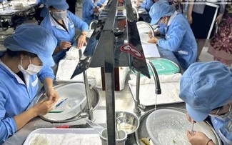 Hơn 4 tấn tổ yến tinh chế cùng hàng triệu sản phẩm tổ yến đã được xuất khẩu chính ngạch vào Trung Quốc, đạt giá trị hơn 4 triệu USD. Ảnh: nhandan.