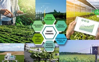 Nông nghiệp chuyển đổi số, chuyển đổi xanh trong bối cảnh mới