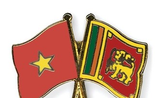 Đảng Cộng sản Việt Nam lãnh đạo đất nước đạt được những thắng lợi vĩ đại