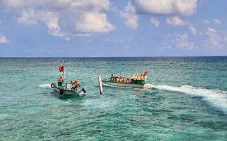 Trường Sa không xa: Hành trình của tình yêu và sức sống giữa trùng khơi