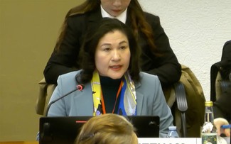 Việt Nam bảo vệ thành công Báo cáo quốc gia lần thứ 9 về thực thi Công ước CEDAW