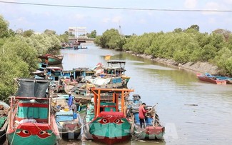 Đồng Tháp cơ cấu lại đội tàu khai thác thủy sản theo hướng bền vững