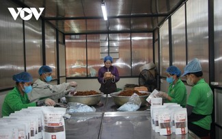 Chuyển đổi số: đòn bẩy để nông sản Gia Lai vươn xa