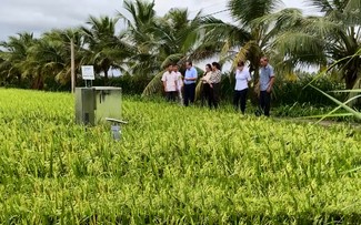 Số hóa nông nghiệp - con đường làm giàu từ ruộng vườn quê hương