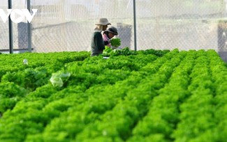 Bước tiến lớn cho vùng trọng điểm nông nghiệp Đơn Dương (Lâm Đồng)