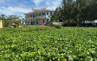 More trees planted on Spratly islands despite harsh climate