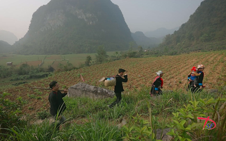 European-Vietnamese documentary film festival: A kaleidoscope of perspectives on life