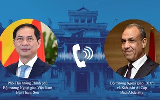 Vietnam, Egypt strengthen traditional ties, multifaceted cooperation