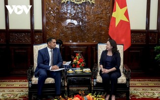 Vice President calls on Sweden to share development experience with Vietnam