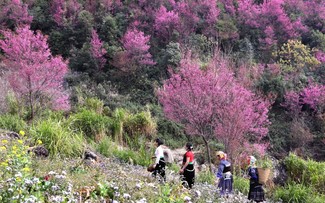 Mu Cang Chai rings in 2025 with Mong panpipe and To Day flower festivals