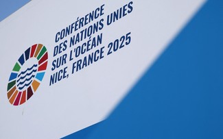 Vietnam commits to protecting oceans, marine ecosystems
