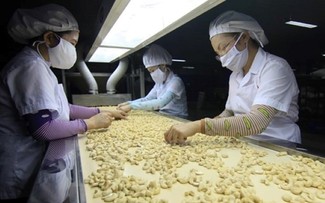 Overseas Vietnamese businesses support exports to Canada