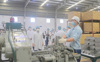 Can Tho promotes production and business activities