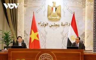Vietnam, Egypt pledge stronger cooperation in multiple areas