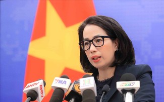 Vietnam reiterates consistent policy of protecting, promoting human rights 