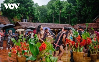 Wednesday November 12, 2025