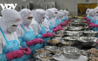 Vietnam’s seafood exports may set a new record in 2025
