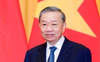 Party leader calls for advancing comprehensive diplomacy to new height