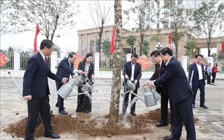 Tree-planting festival launched nationwide